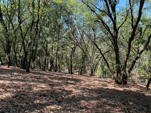 33 Nugget DR, Foresthill, CA 95631