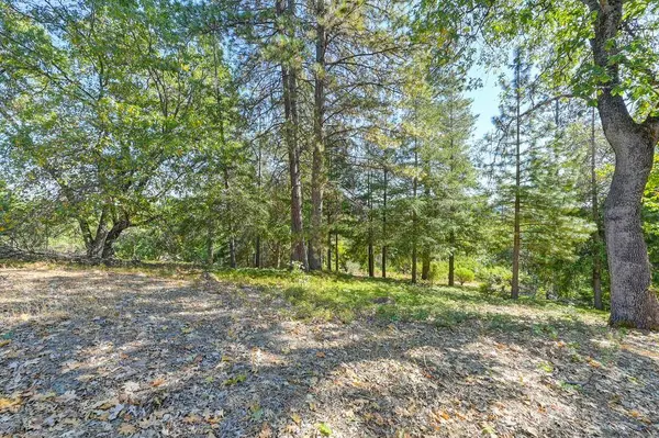 4630 Rosarno, Foresthill, CA 95631