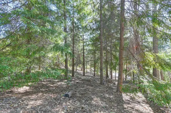 4630 Rosarno, Foresthill, CA 95631