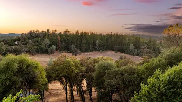 1470 Naturewood DR, Meadow Vista, CA 95722