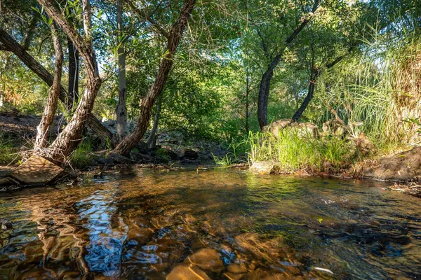 4260 Meadow Glen RD, Auburn, CA 95602