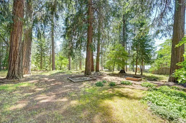 405 Alpine DR, Colfax, CA 95713