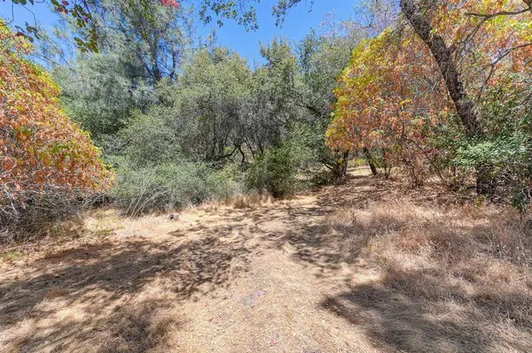0 Junewood Lane, Loomis, CA 95650