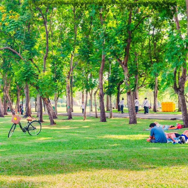 feature image of Healthy Ways To Wrap Up Your Summer