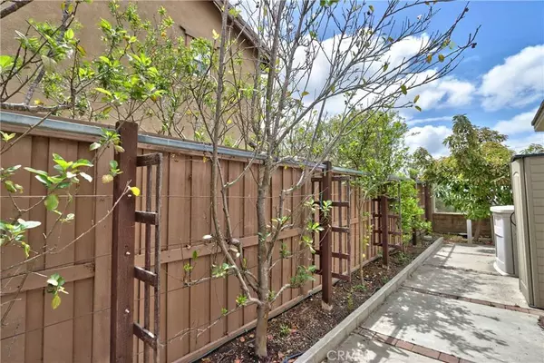 1931 James Gaynor ST, Fallbrook, CA 92028