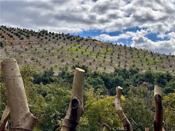 39725 Jones RD, Fallbrook, CA 92028