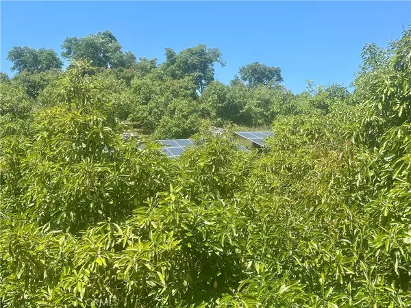 39725 Jones RD, Fallbrook, CA 92028