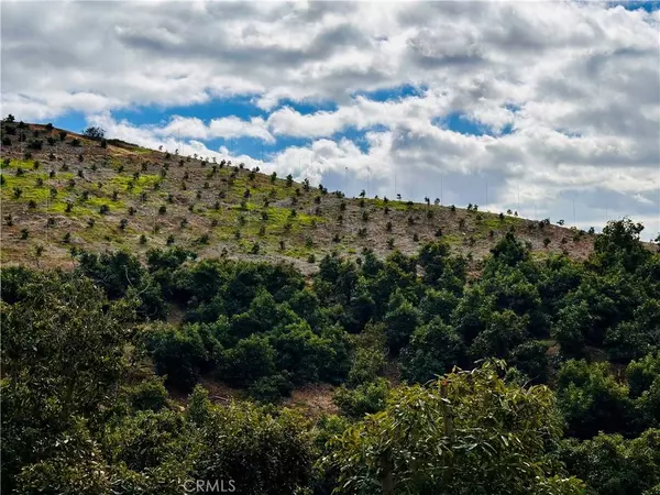 39725 Jones RD, Fallbrook, CA 92028