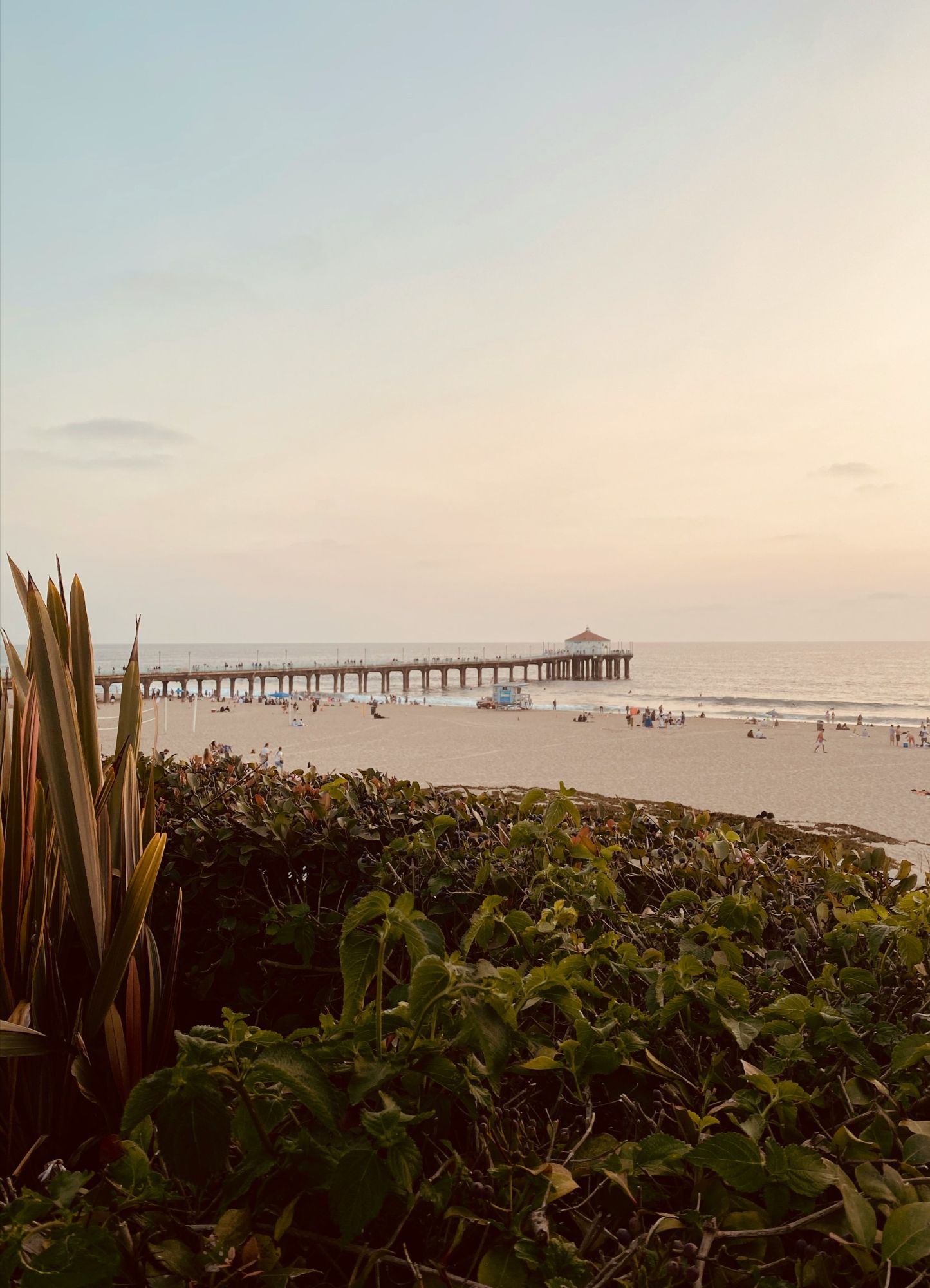 Manhattan Beach neighborhood guide