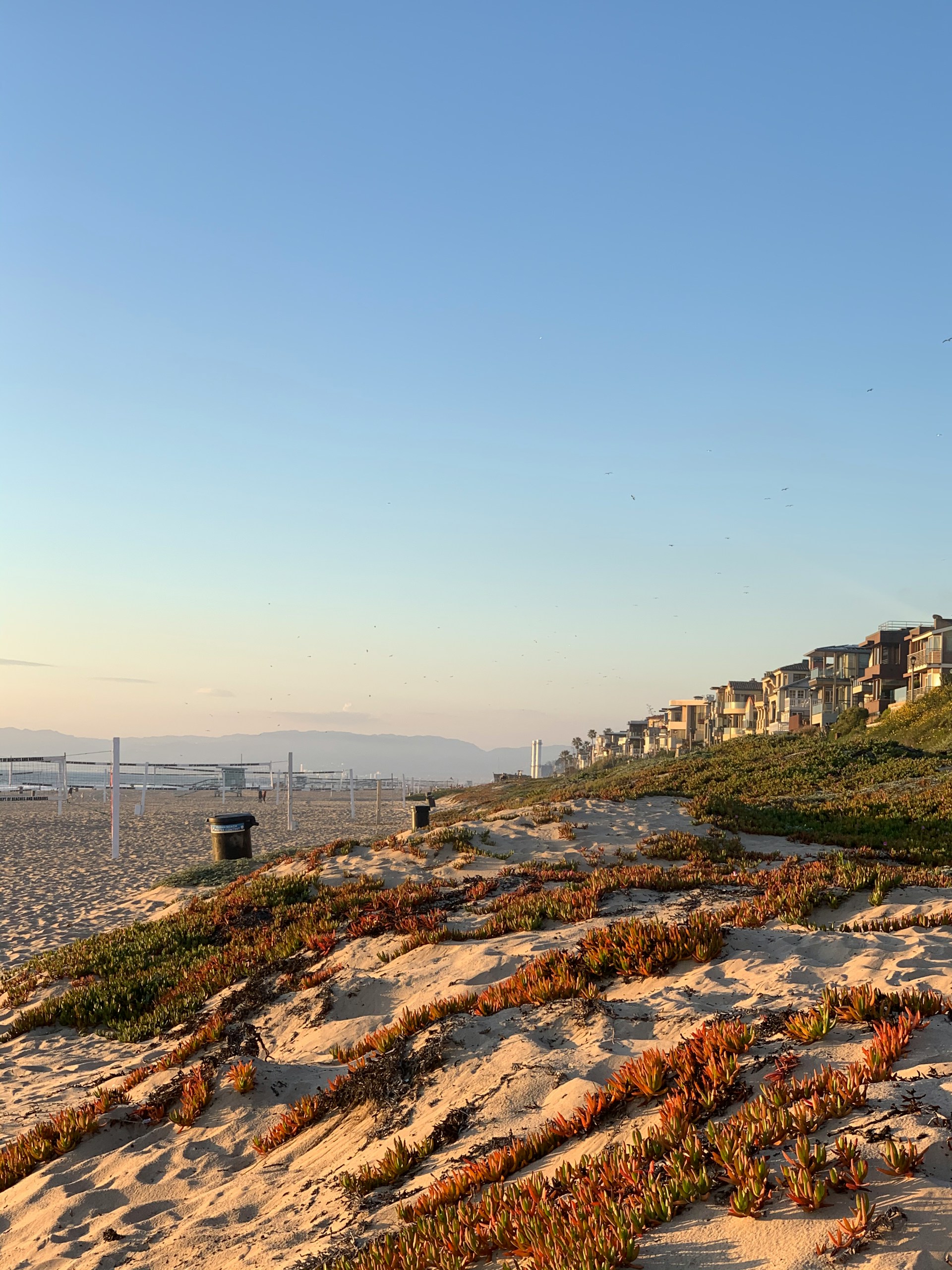 Manhattan Beach homes information