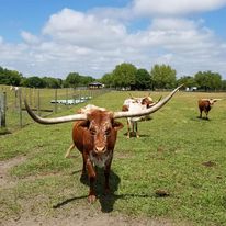 myakka city land for sale