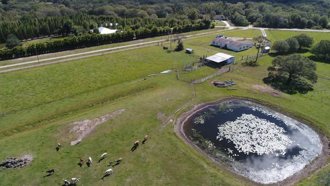 myakka city real estate