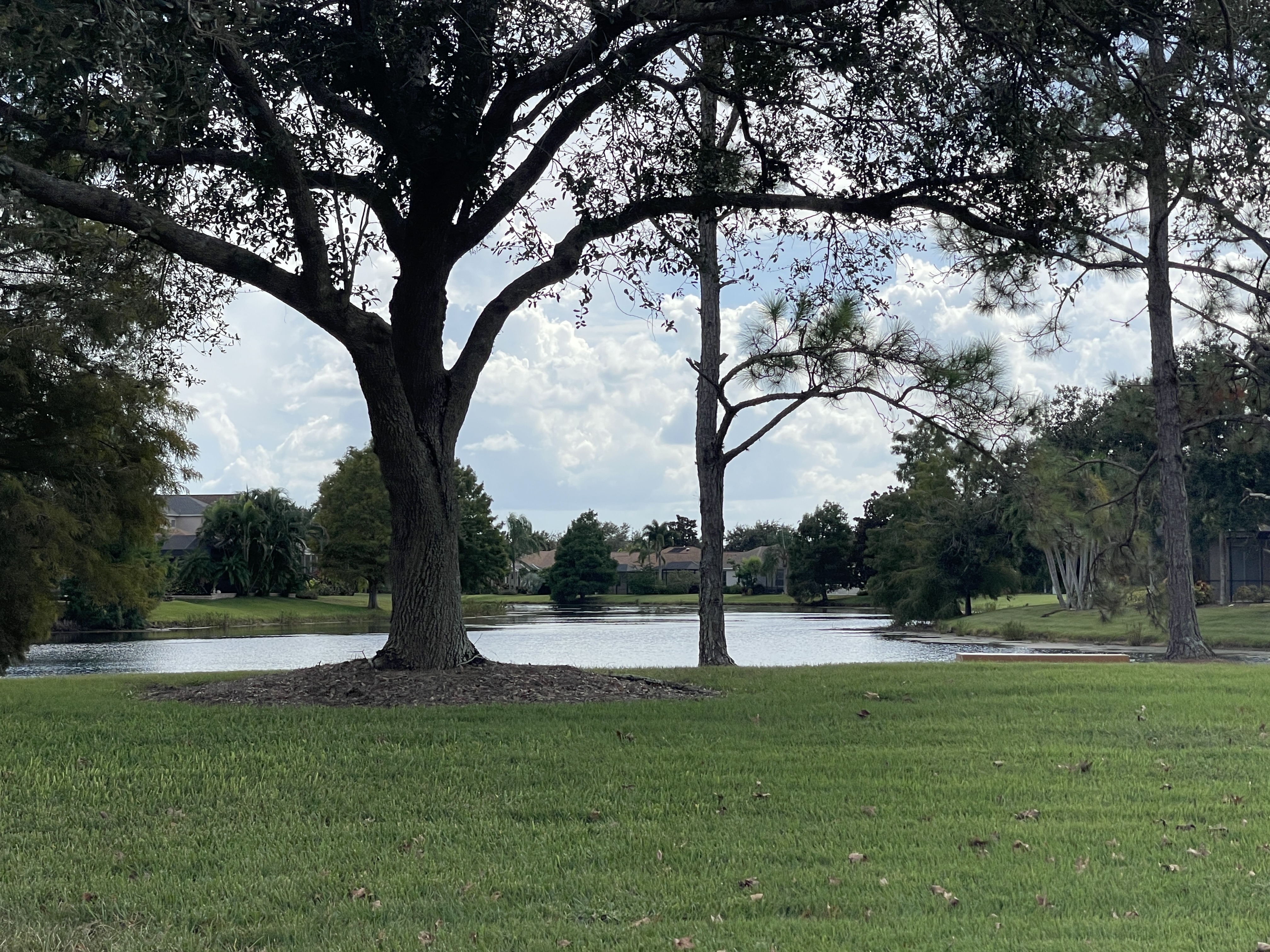 greenbrook village lakewood ranch