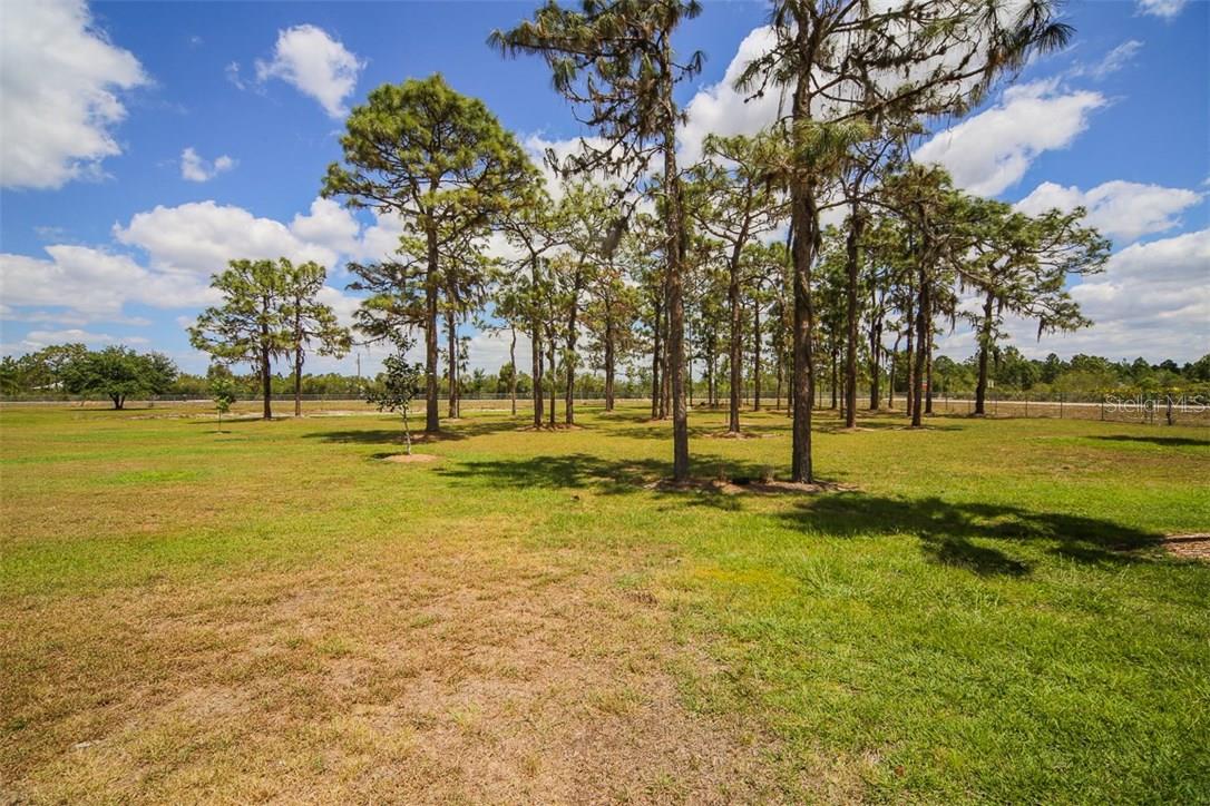 Myakka City properties for sale 