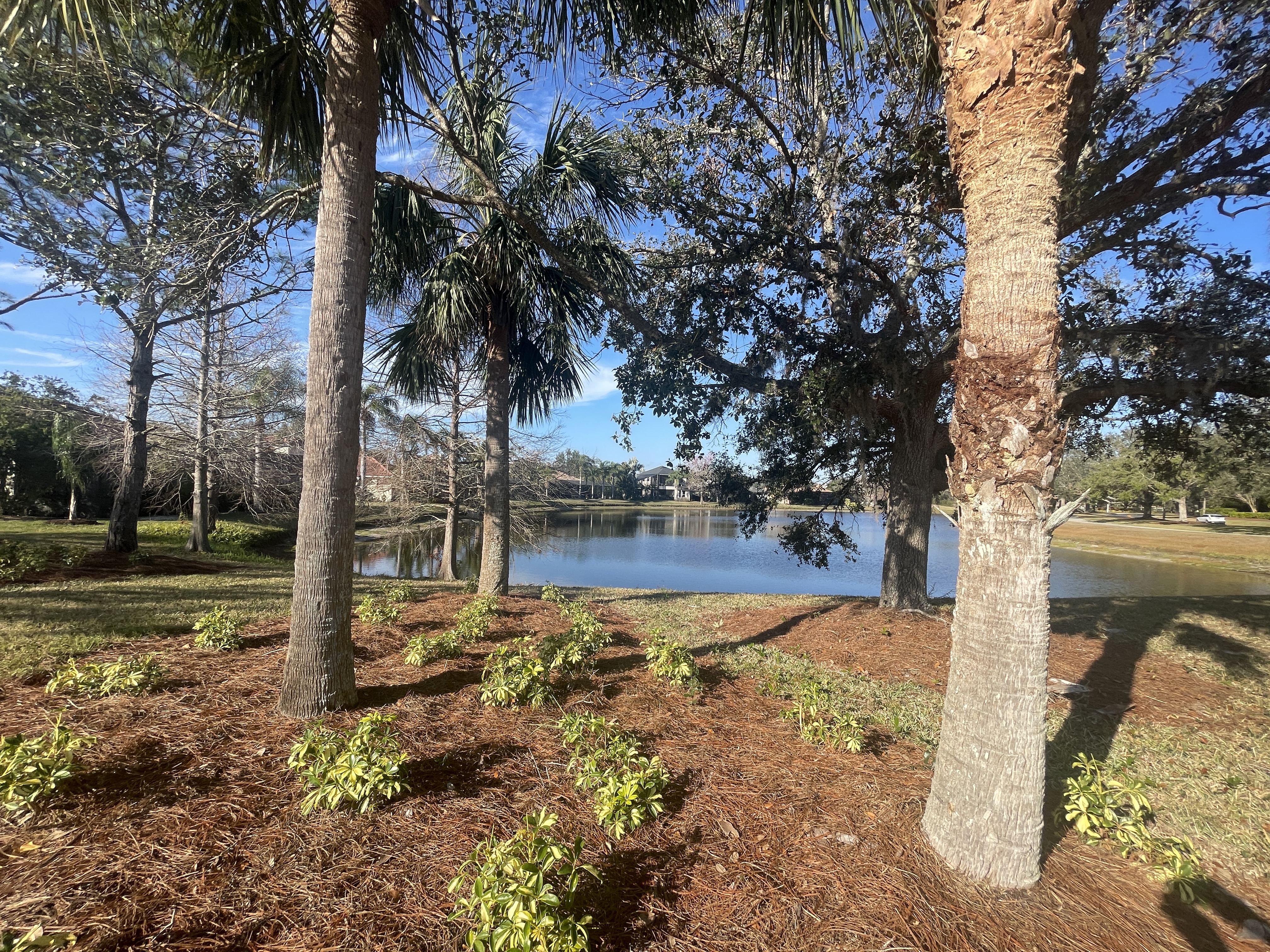 greenbrook village lakewood ranch