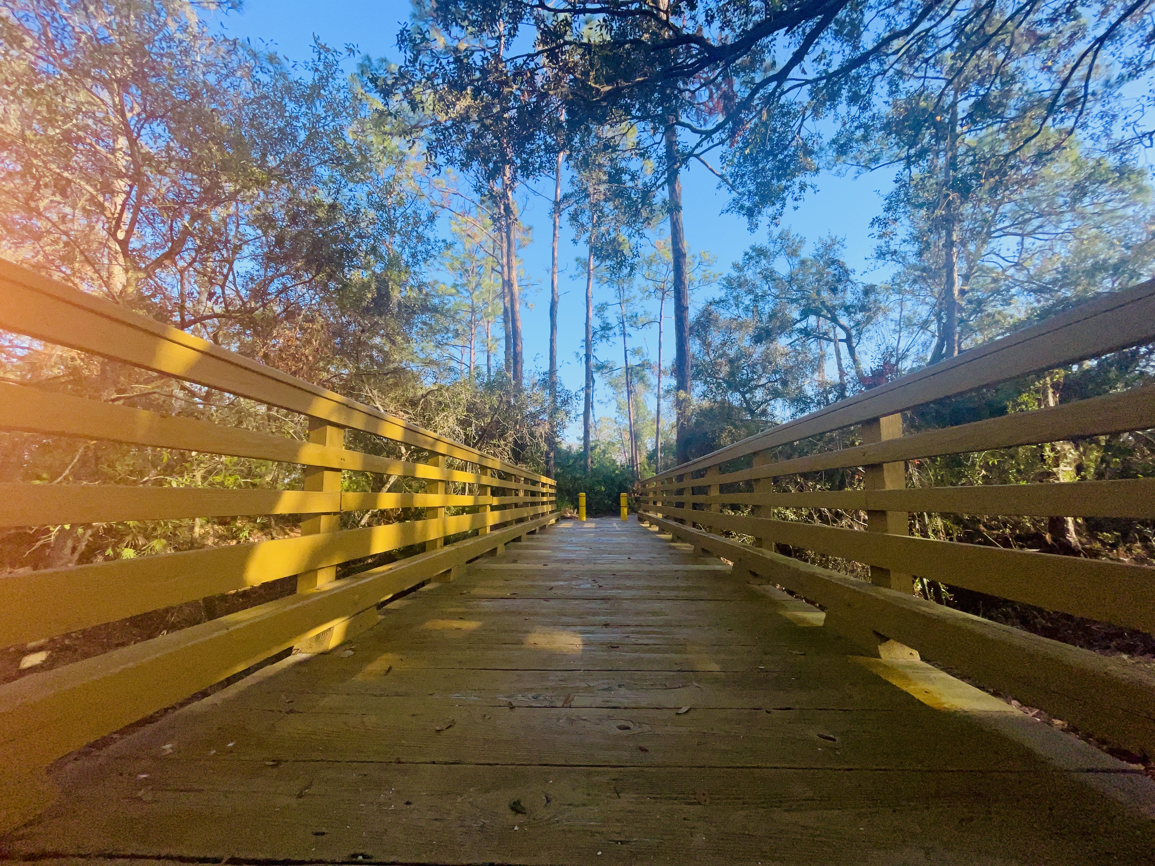 Greenbrook Village lakewood ranch