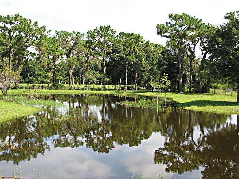 myakka city