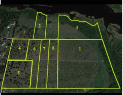 myakka city real estate