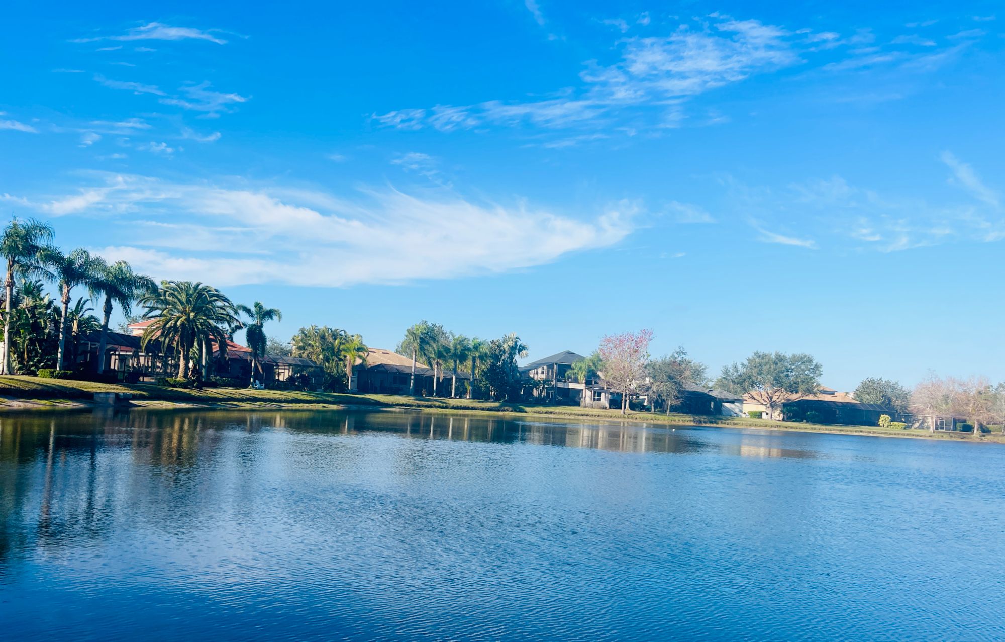 greenbrook village lakewood ranch