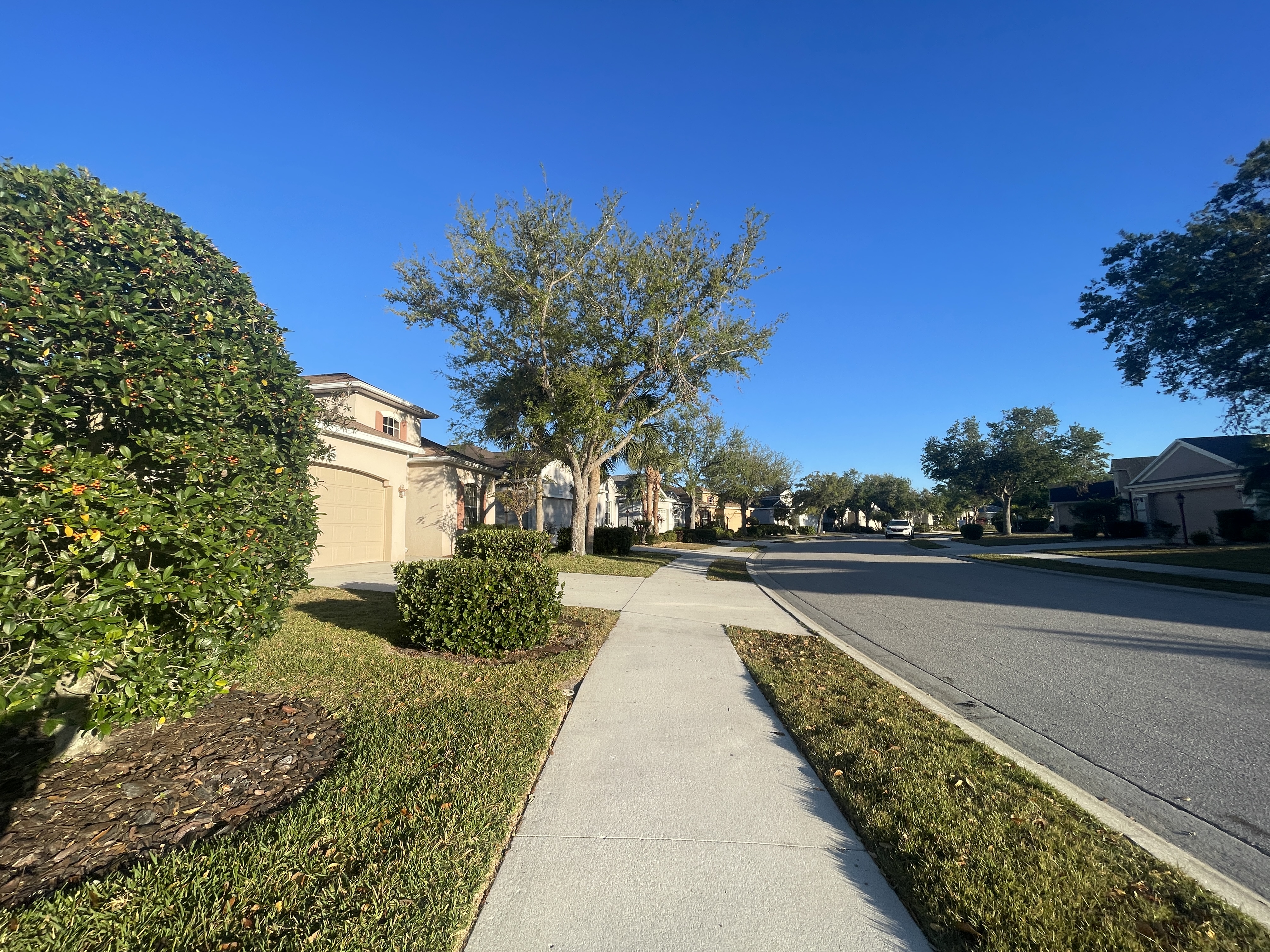 greenbrook village lakewood ranch