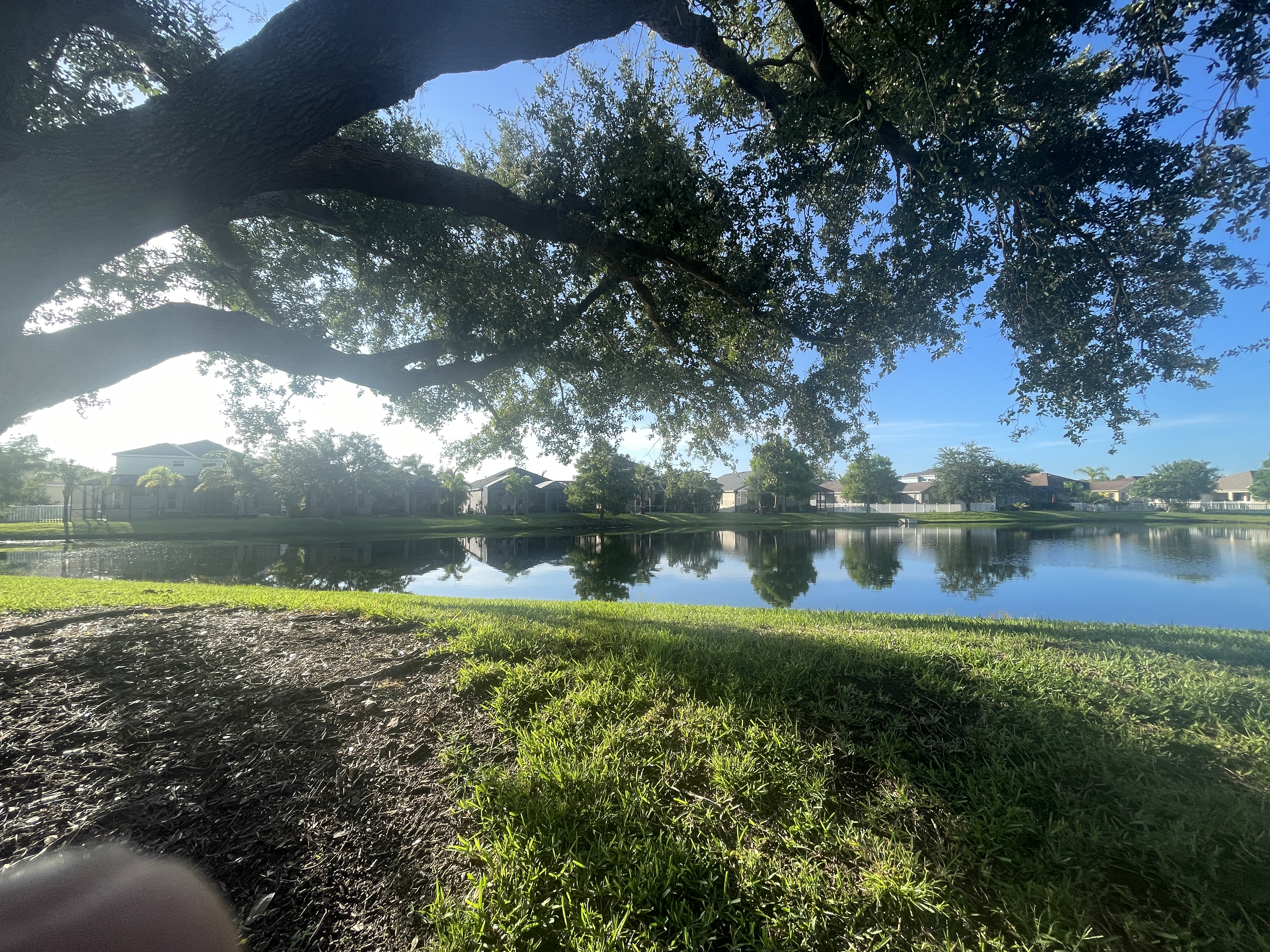 greenbrook village lakewood ranch
