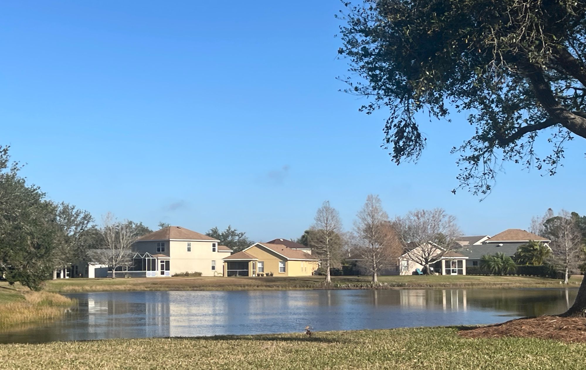 greenbrook village
