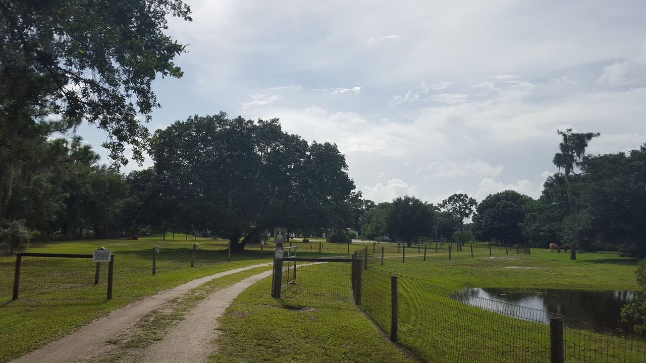 Myakka city Real Estate