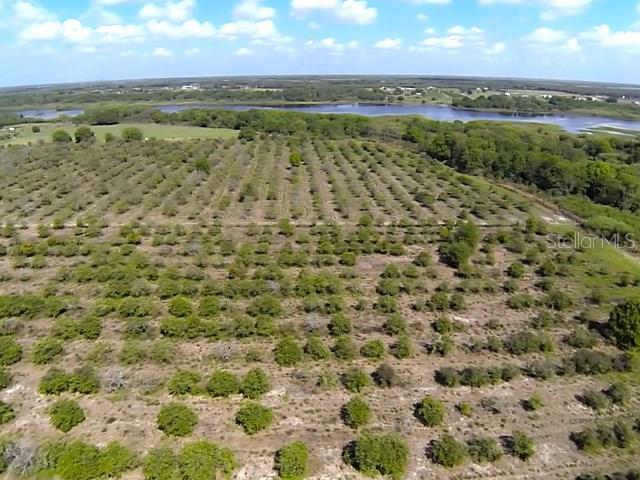 Myakka City Real Estate