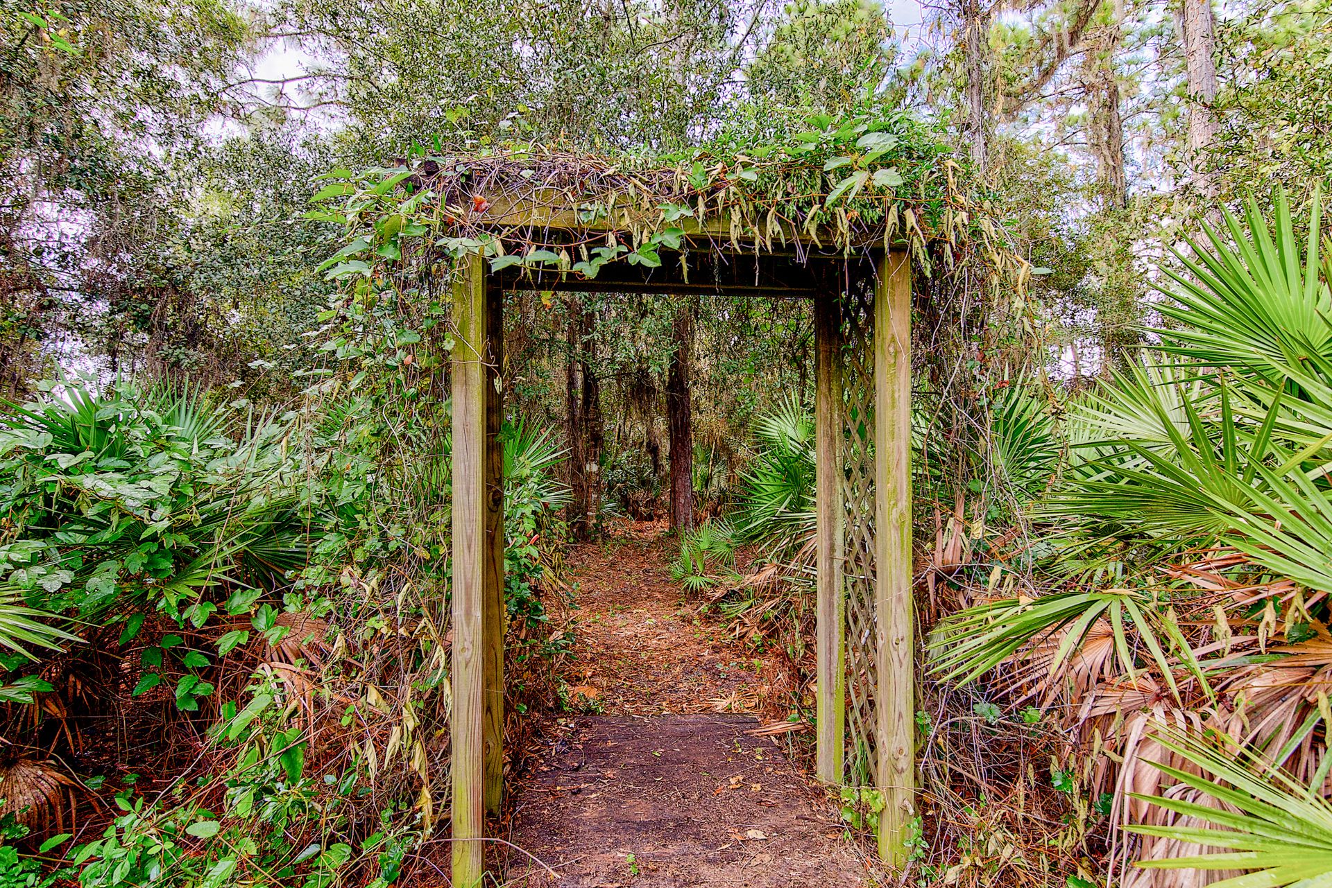 Myakka City Real Estate
