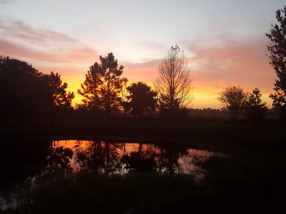 myakka city real estate