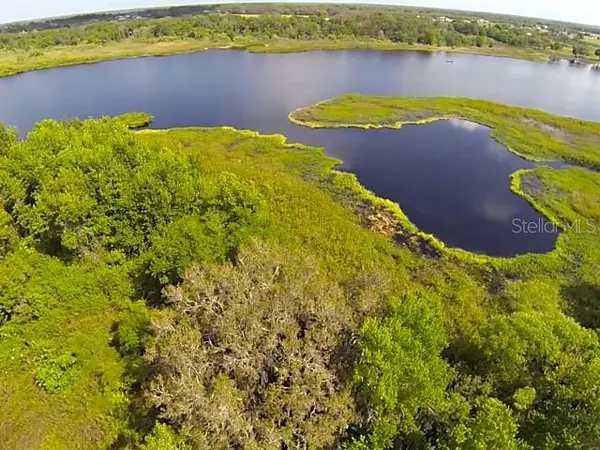 Thinking About Selling Your Land or Equestrian Property in Myakka City? Read This First.
