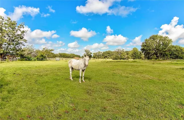 The Biggest Mistakes People Make When Buying Land in Myakka City