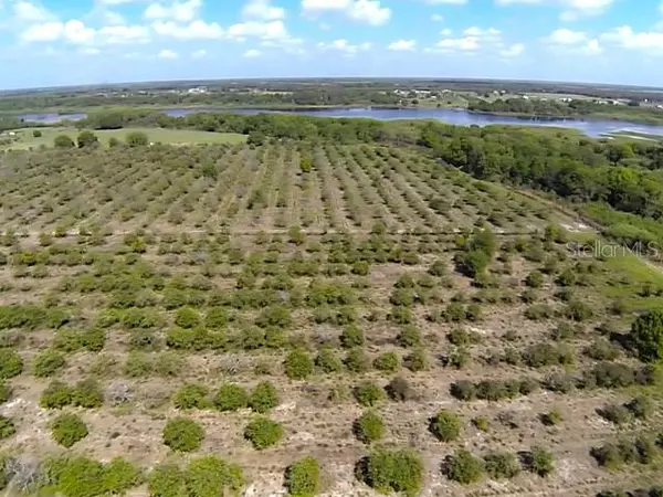 How Much Land Do You Really Need in Myakka City?