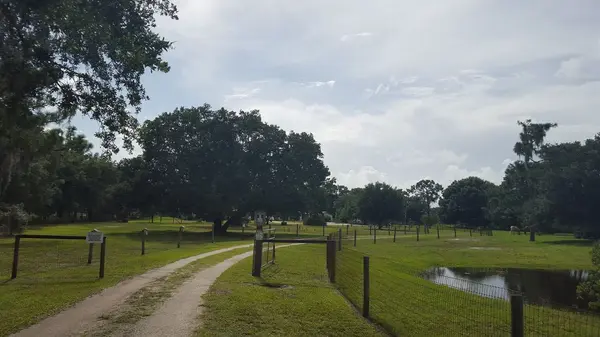 Should I Price My Myakka City Property High and Negotiate?