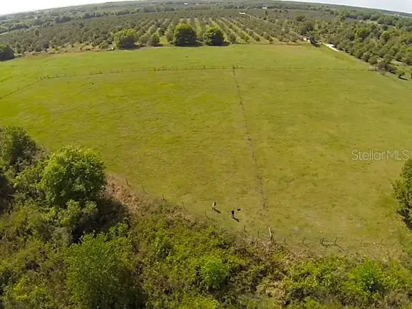 Selling Land in Myakka City: Should You Clear Overgrown Property Before Listing?