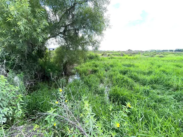 WAUCHULA RD, Myakka City, FL 34251