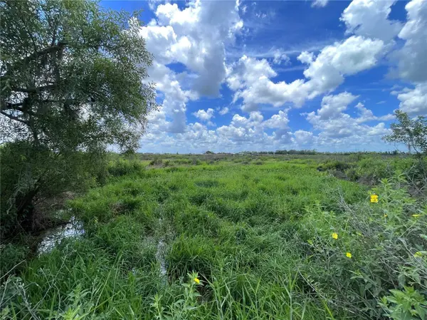 WAUCHULA RD, Myakka City, FL 34251