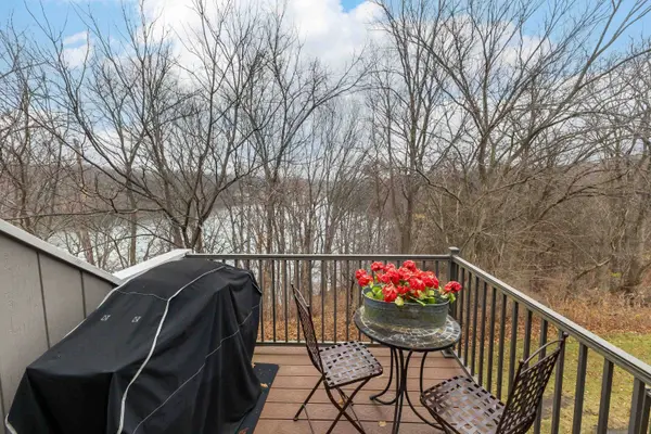 140 Plum Cove Drive, Galena, IL 61036