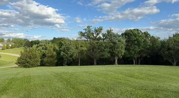 TBD N Mathew Court, Galena, IL 61036