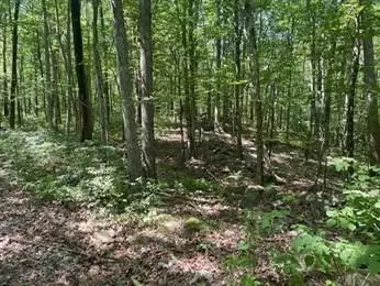 13 Perry St, Douglas, MA 01516