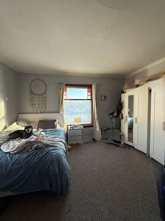 15 Millbrook Street #2, Worcester, MA 01606