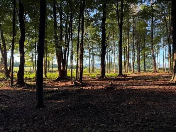 Lot 2 W Princeton Road, Westminster, MA 01473