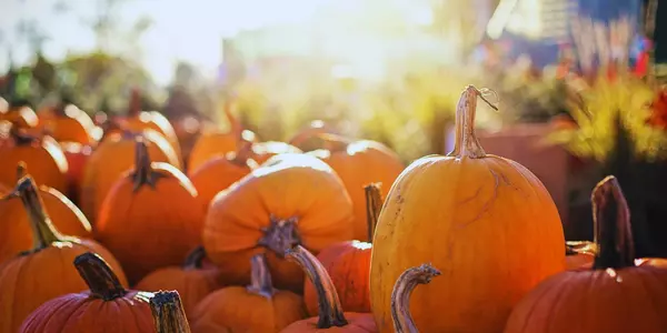 Fall Events in Southwest Florida
