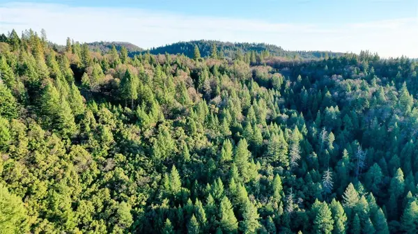 3 The Bluffs WAY, Colfax, CA 95713