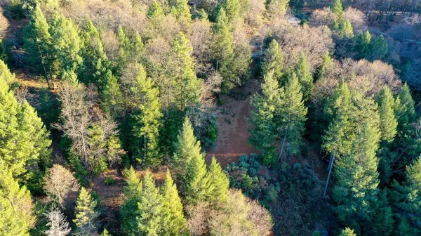 3 The Bluffs WAY, Colfax, CA 95713