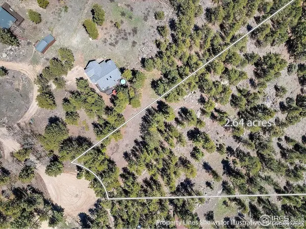 213 Rocky Knob LN, Nederland, CO 80466