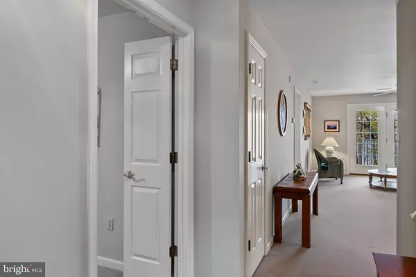 1101 S SCHUMAKER DR #209, Salisbury, MD 21804