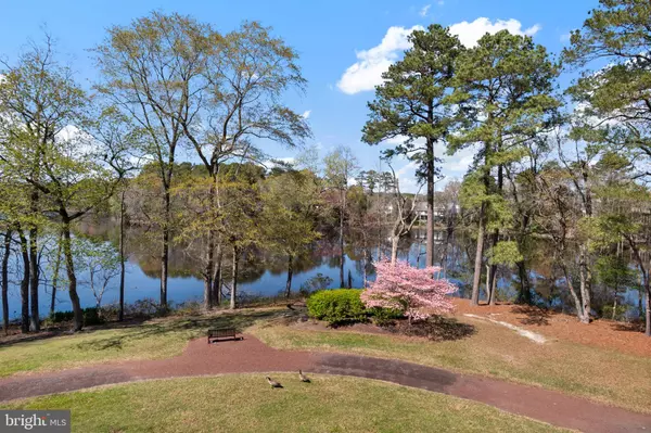 1101 S SCHUMAKER DR #209, Salisbury, MD 21804