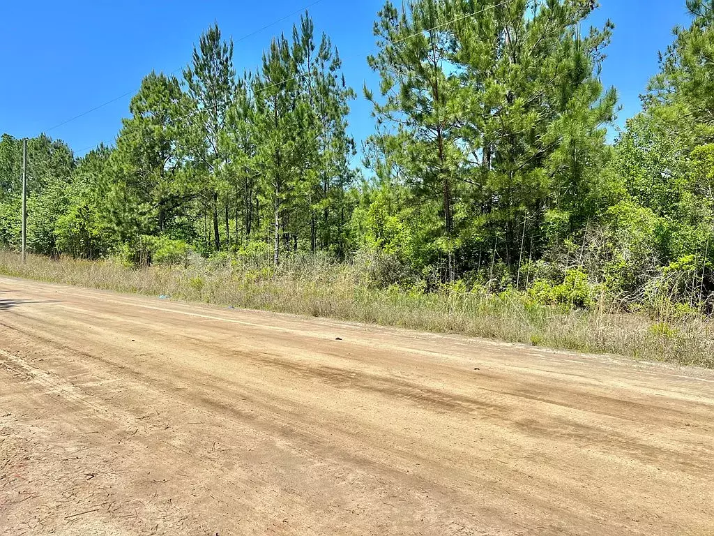 Waycross, GA 31503,Willcox Rd