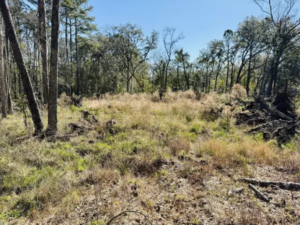 701 Clarks Bluff Road, Kingsland, GA 31548